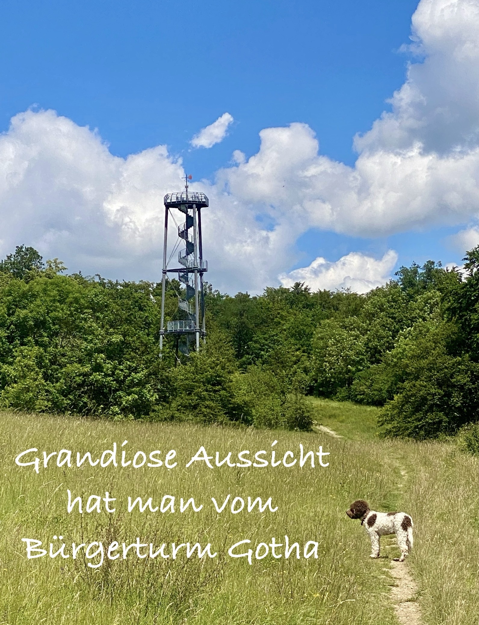 Bürgerturm Gotha – Aussichtspunkt nahe dem Krahnberghaus
