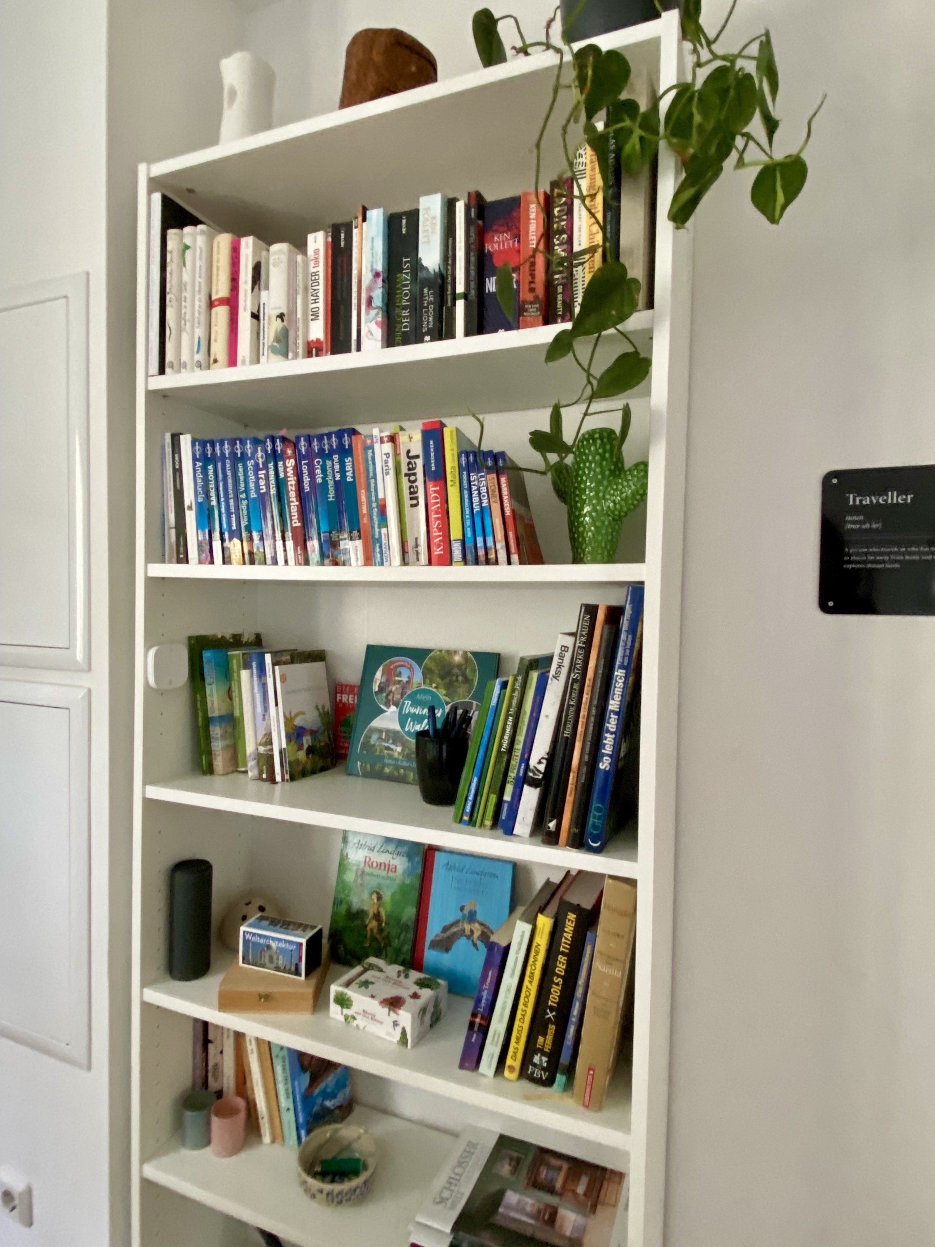 Bücherregal mit Reiseführern, Spielen und Pflanzen
