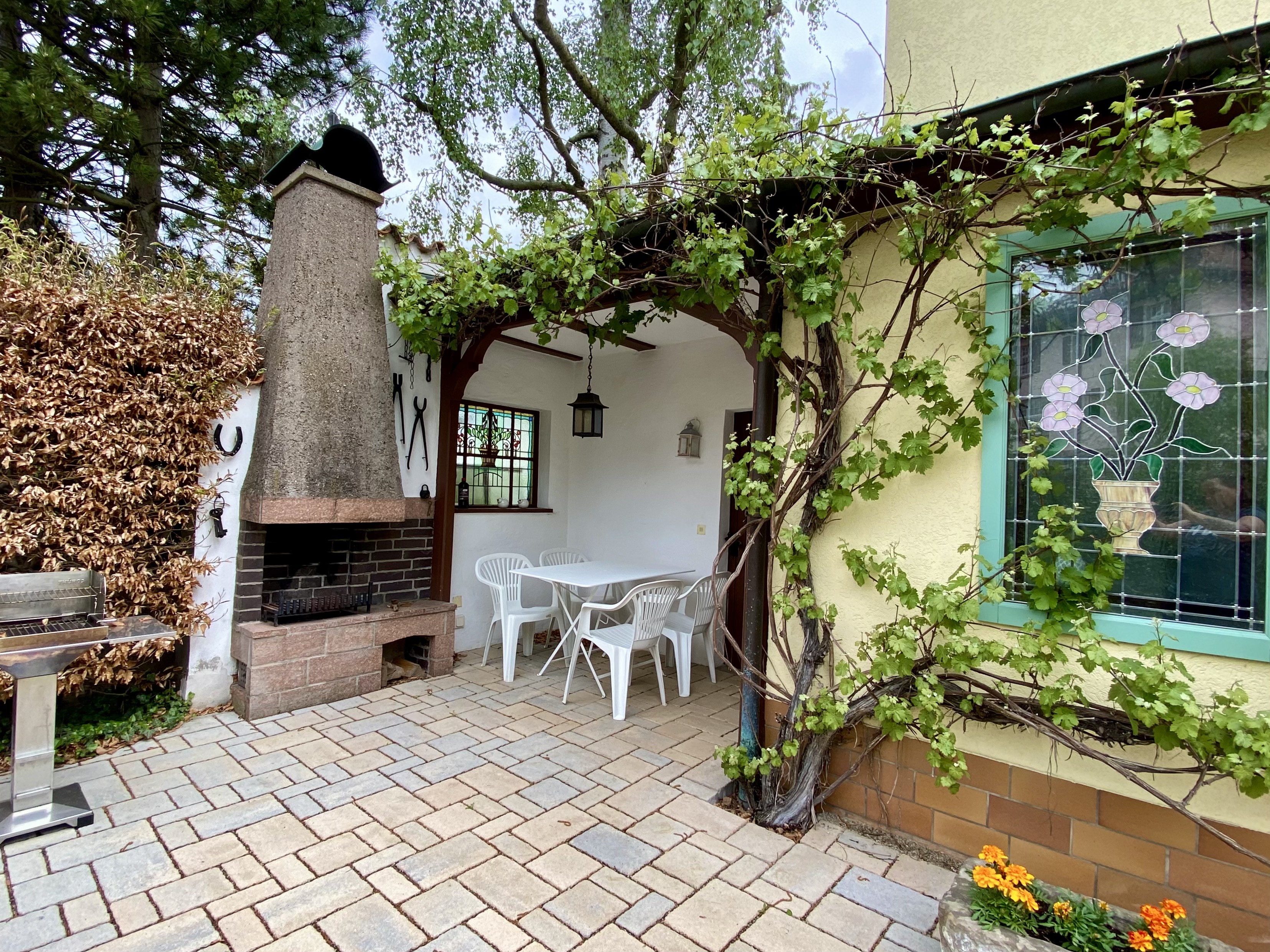 Überdachte Terrasse mit Grillkamin und Weinreben