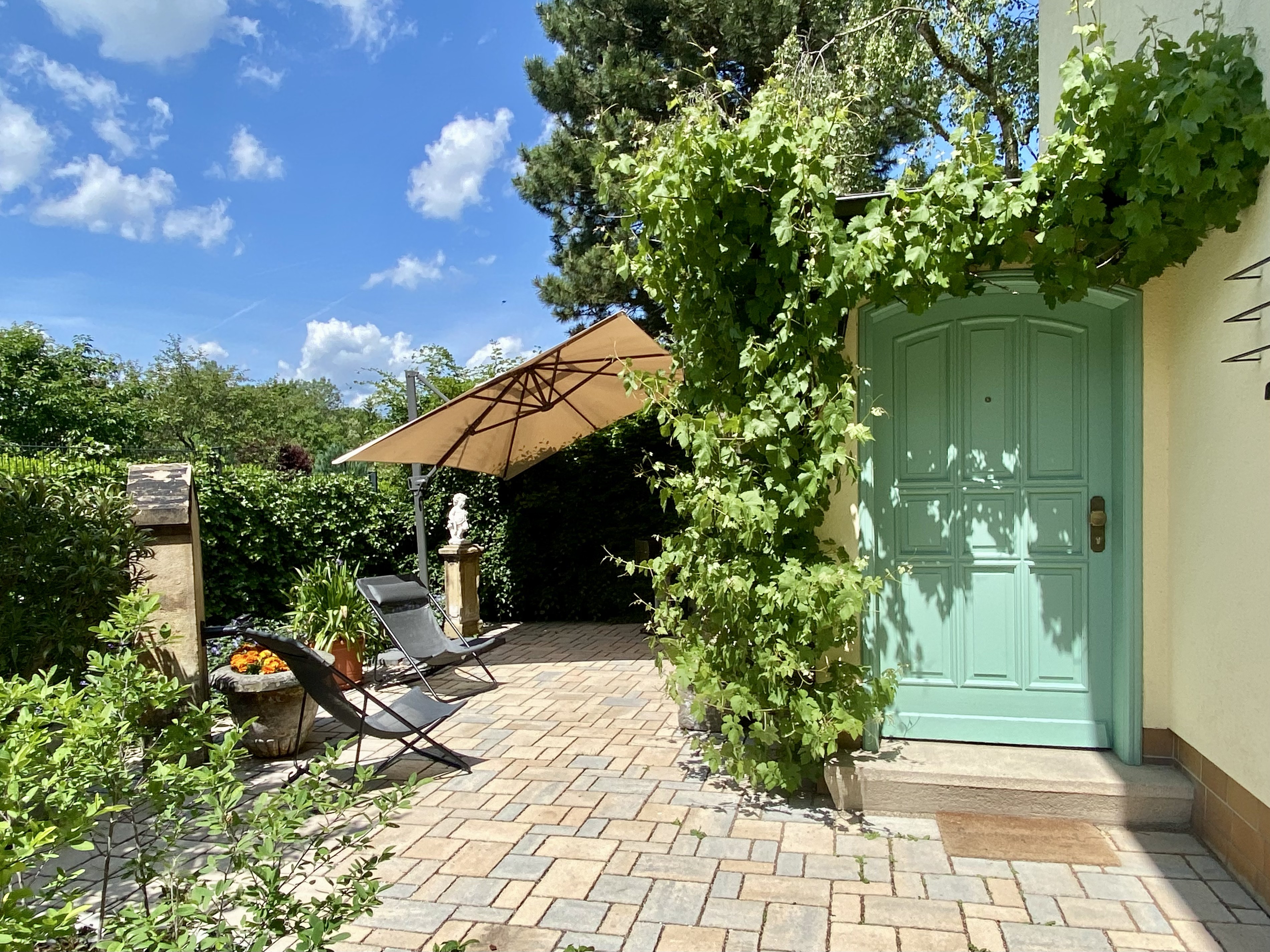 Sonnige Terrasse mit Sonnenschirm und Weinranken
