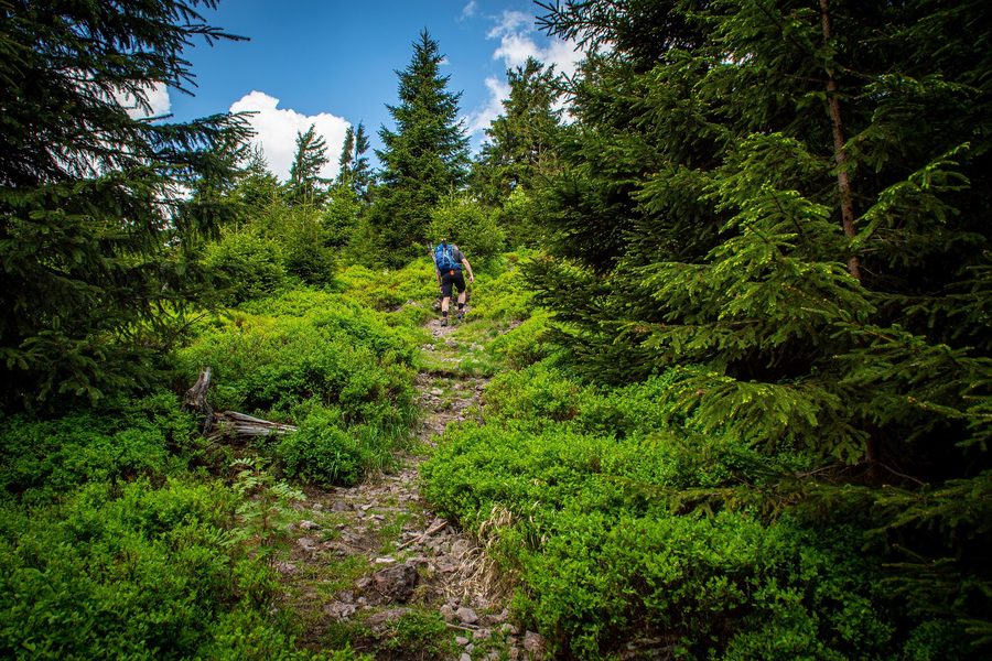 Rennsteig – Wanderweg durch den Thüringer Wald